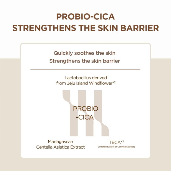 SKIN1004 Madagascar Centella Probio-Cica Enrich Cream 1.69 fl.oz, 50ml - Picture 4 of 9